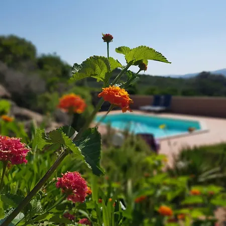 Holiday House Rosmarino With Swimming Pool Costa Paradiso